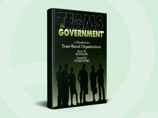 Teams In Government
