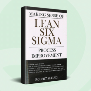 Making Sense of Lean Six Sigma