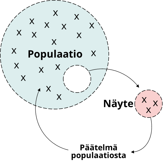 Populaation arviointi