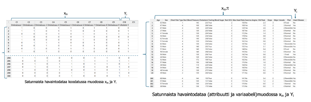 Luokiteltua havainto- ja ulostulodataa.