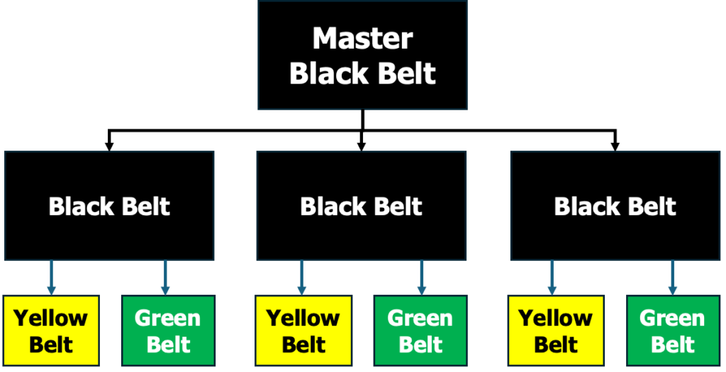  Master Black Belt, Black Belt, Green Belt ja Yellow Belt hierarkia